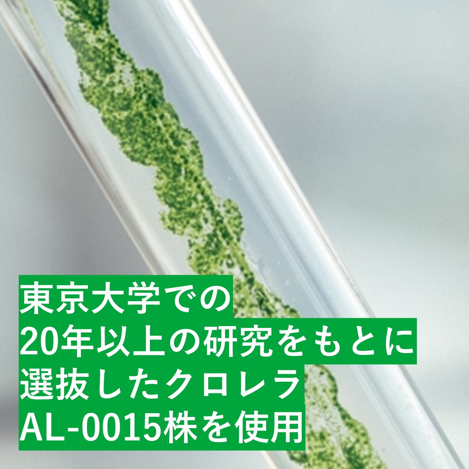 [限定販売][30日分] 藻サプリメントMoneru〈カプセル〉